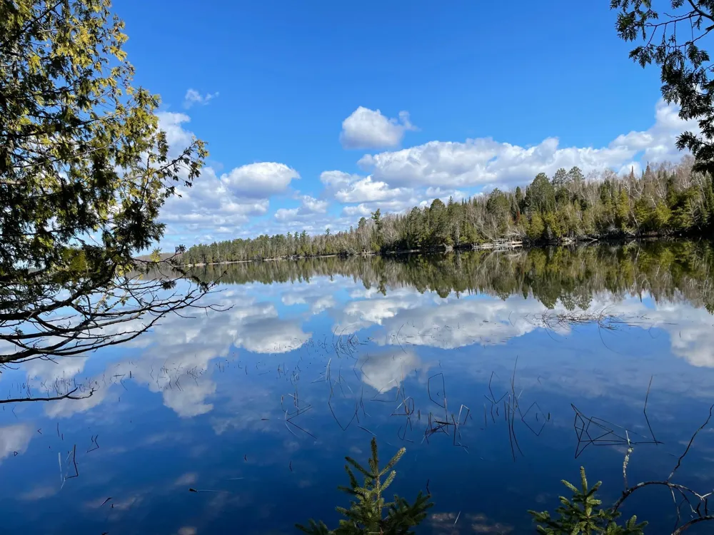 51301 Pine Point Road Bigfork, MN 56628