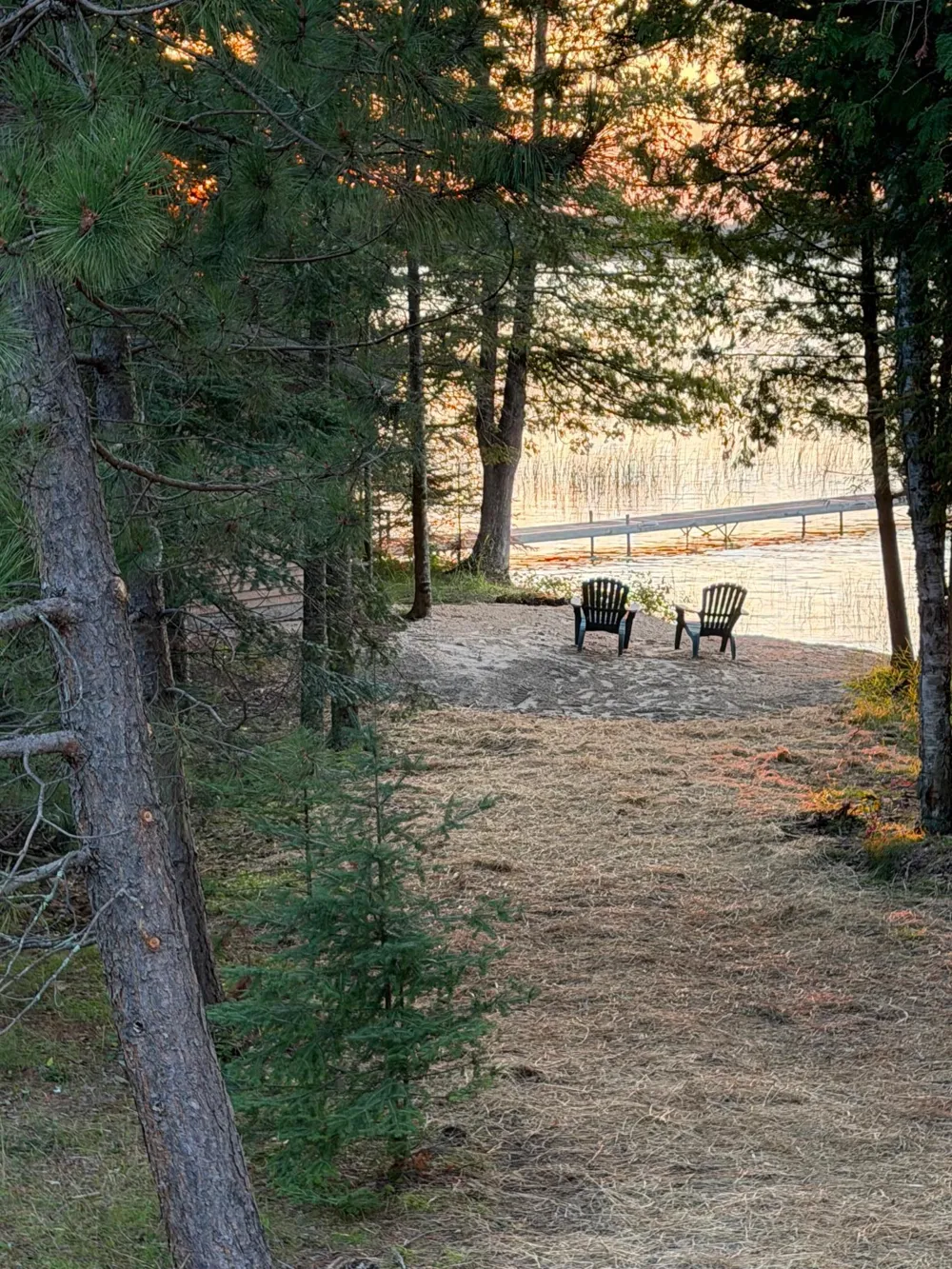 51301 Pine Point Road Bigfork, MN 56628