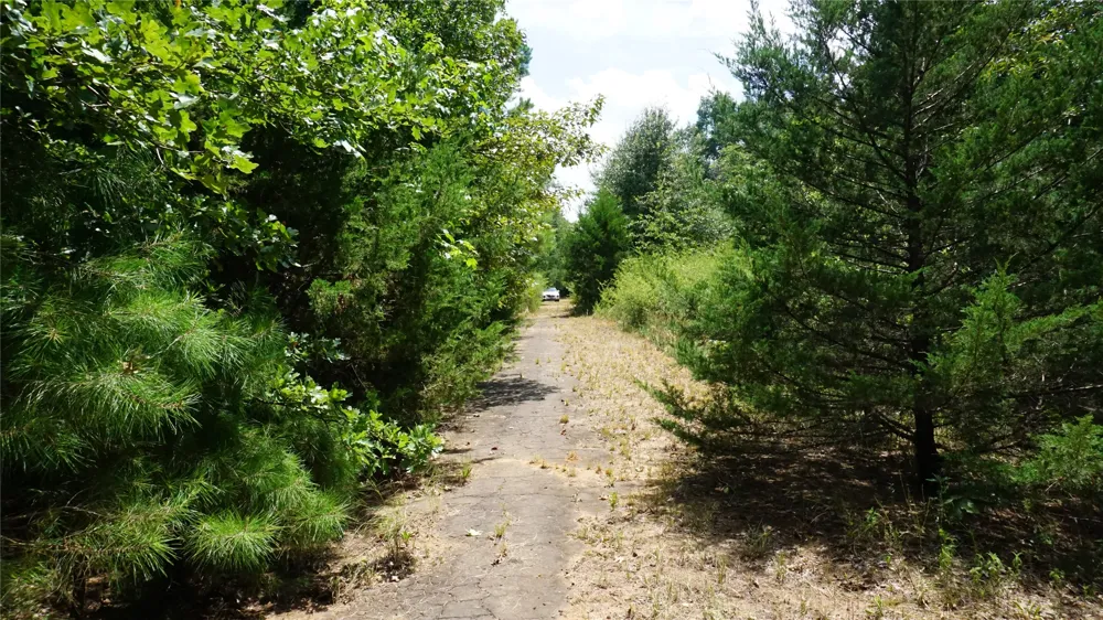 Private Road 7907 Hawkins, TX 75765