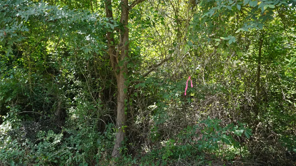 Private Road 7907 Hawkins, TX 75765