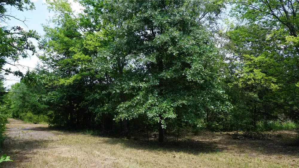 Private Road 7907 Hawkins, TX 75765