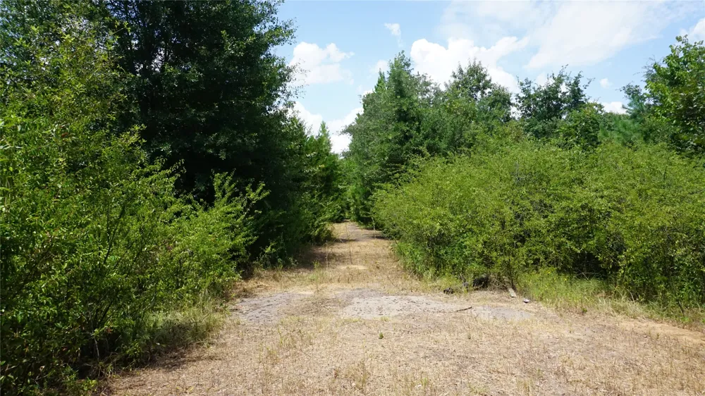 Private Road 7907 Hawkins, TX 75765
