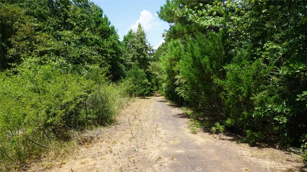 Private Road 7907 Hawkins, TX 75765
