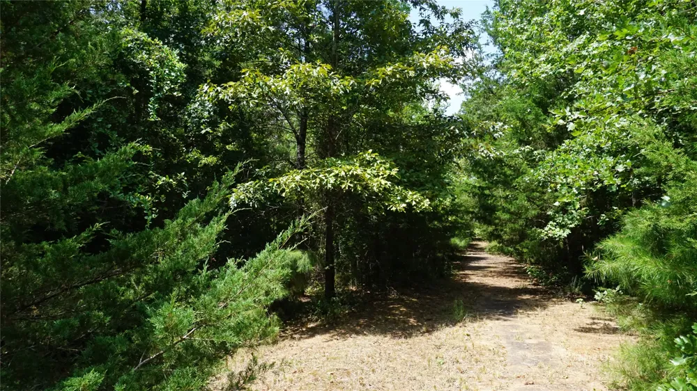 Private Road 7907 Hawkins, TX 75765