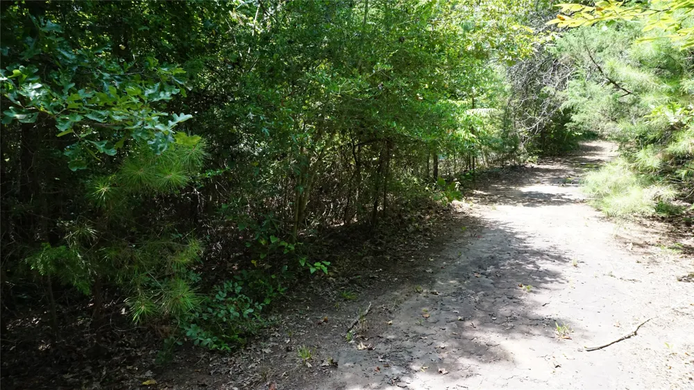 Private Road 7907 Hawkins, TX 75765