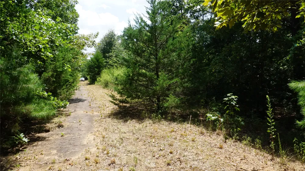 Private Road 7907 Hawkins, TX 75765