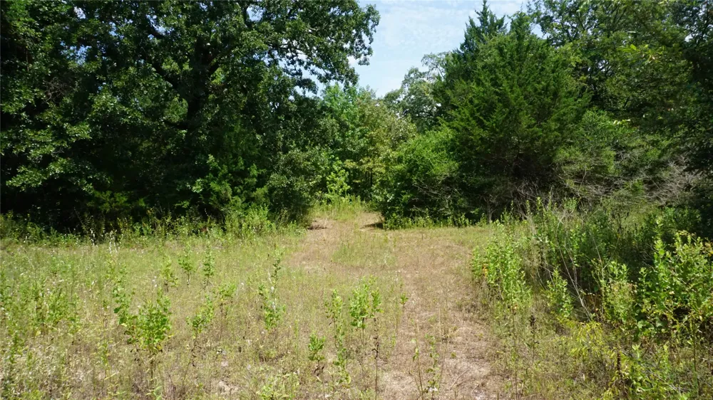 Private Road 7907 Hawkins, TX 75765