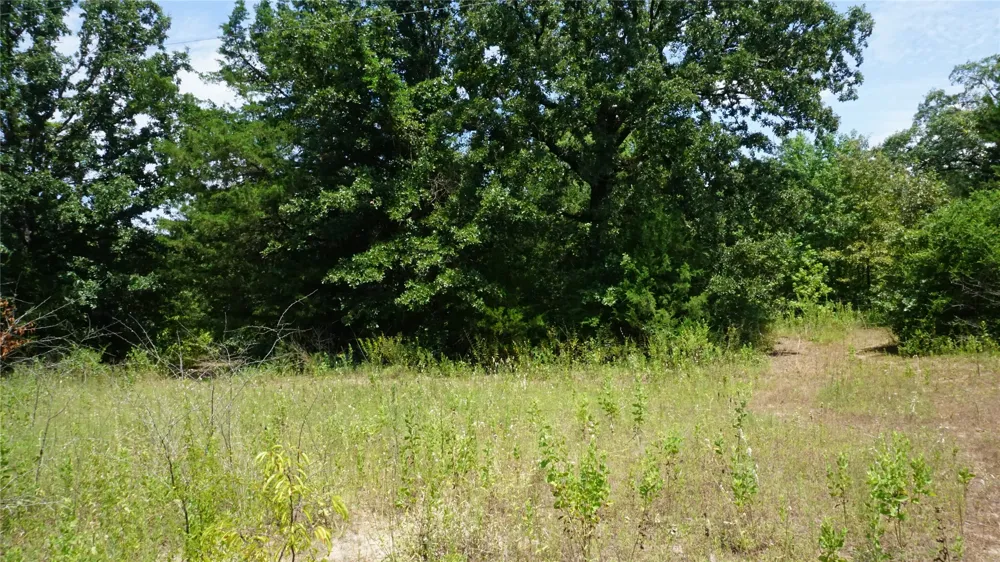 Private Road 7907 Hawkins, TX 75765