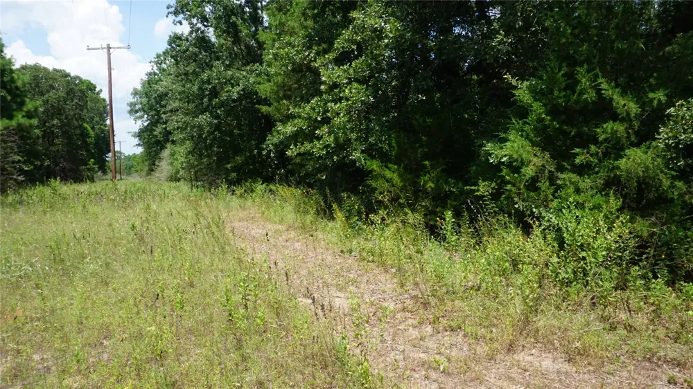 Private Road 7907 Hawkins, TX 75765