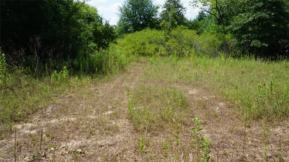 Private Road 7907 Hawkins, TX 75765
