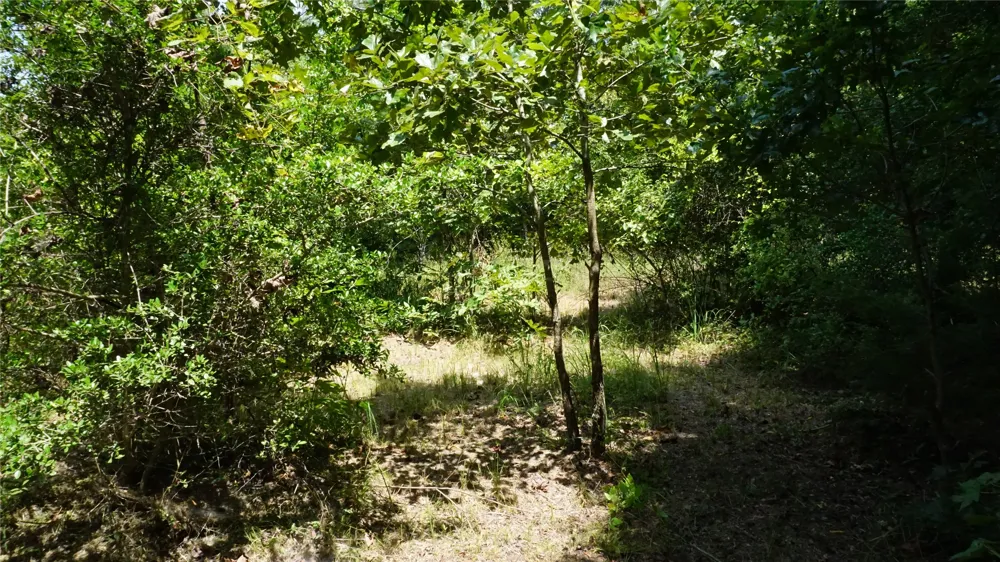 Private Road 7907 Hawkins, TX 75765