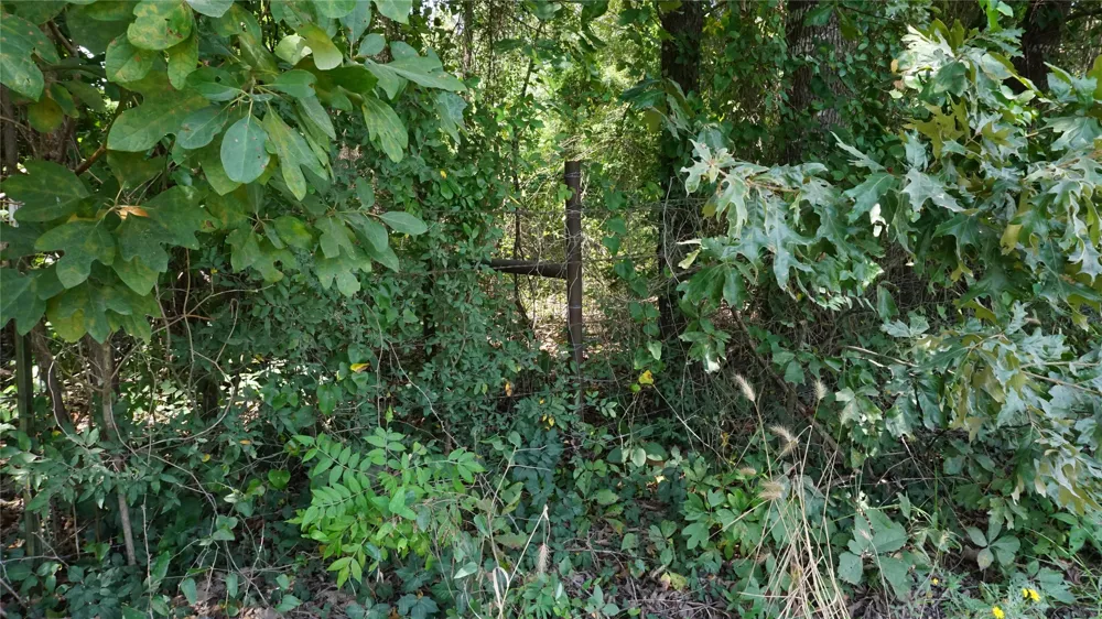 Private Road 7907 Hawkins, TX 75765