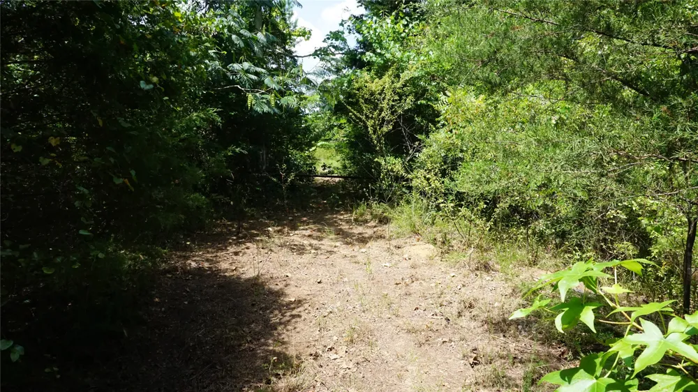 Private Road 7907 Hawkins, TX 75765