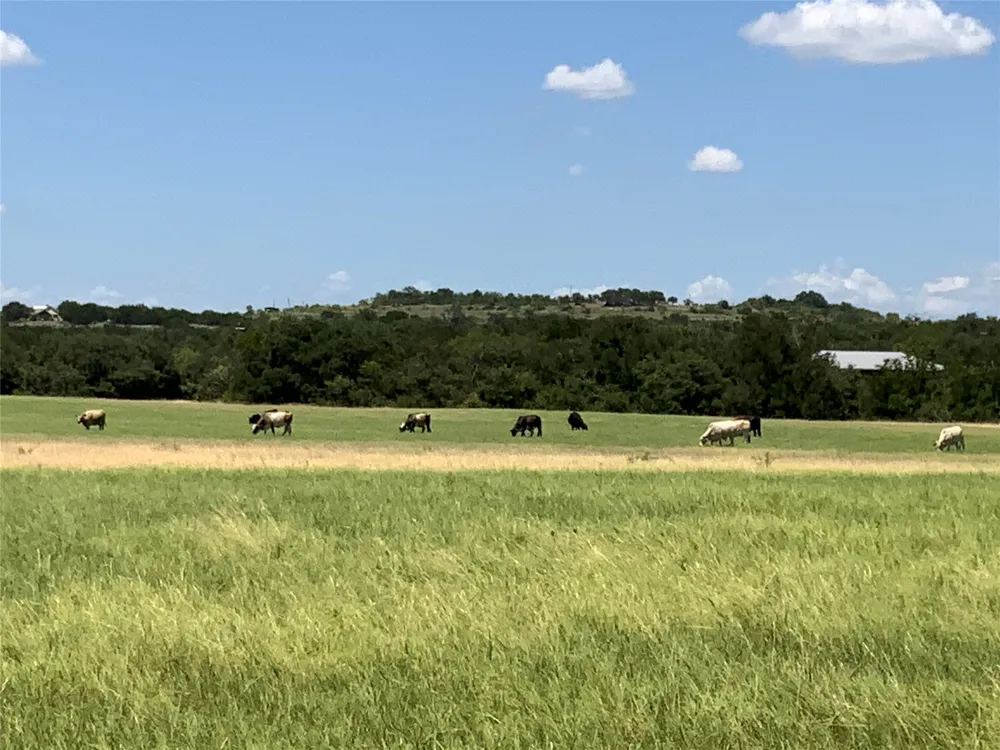 235 County Road 343 Dublin, TX 76446