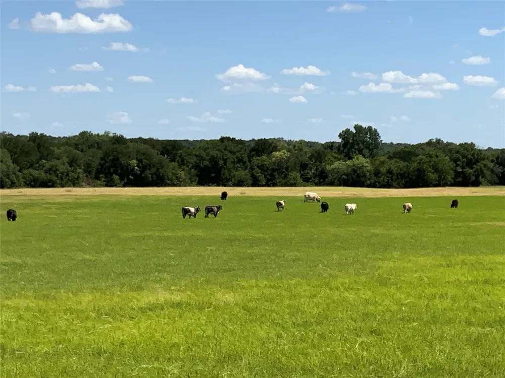 235 County Road 343 Dublin, TX 76446