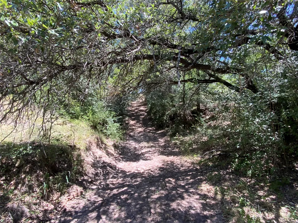 235 County Road 343 Dublin, TX 76446