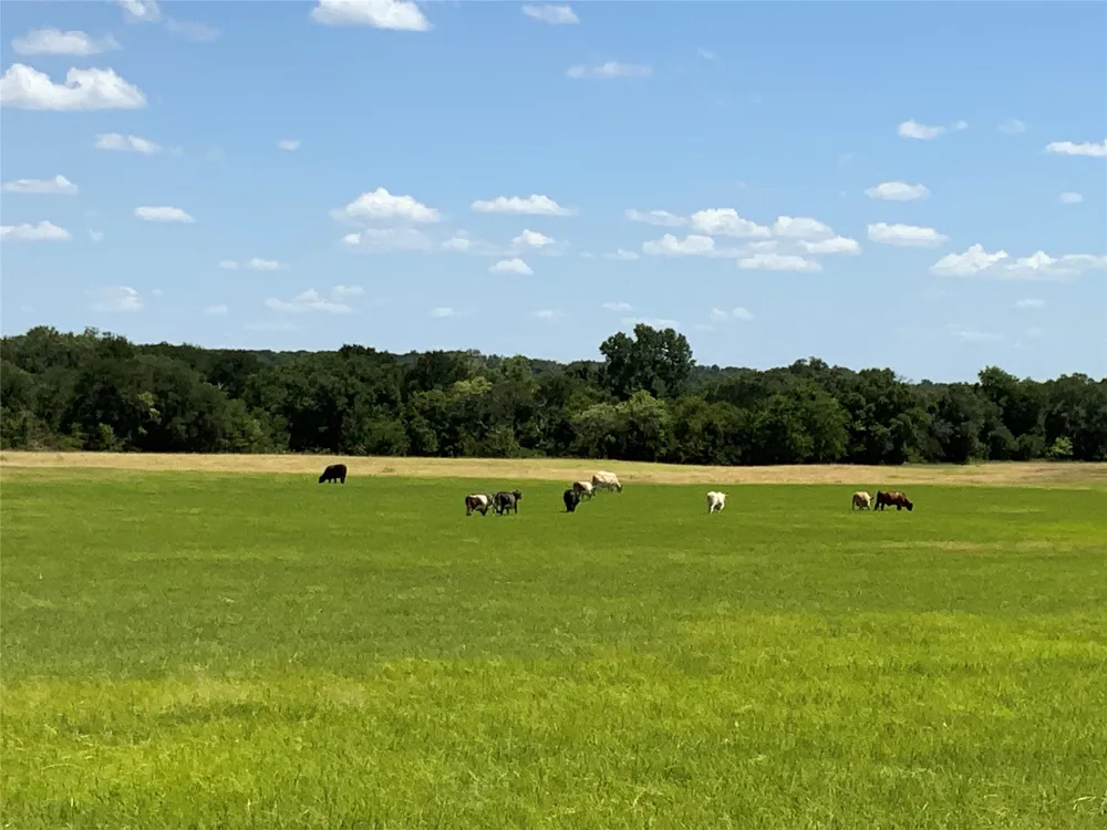 235 County Road 343 Dublin, TX 76446