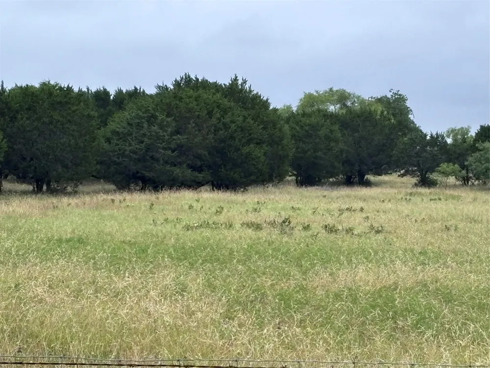 929 CR 2357 Meridian, TX 76665