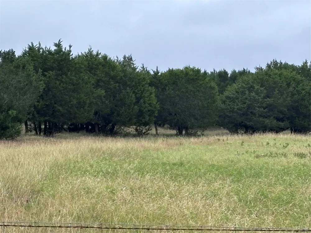 929 CR 2357 Meridian, TX 76665