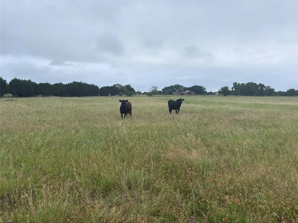 929 CR 2357 Meridian, TX 76665