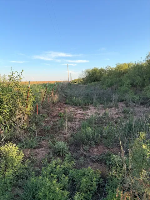 Nowell Road