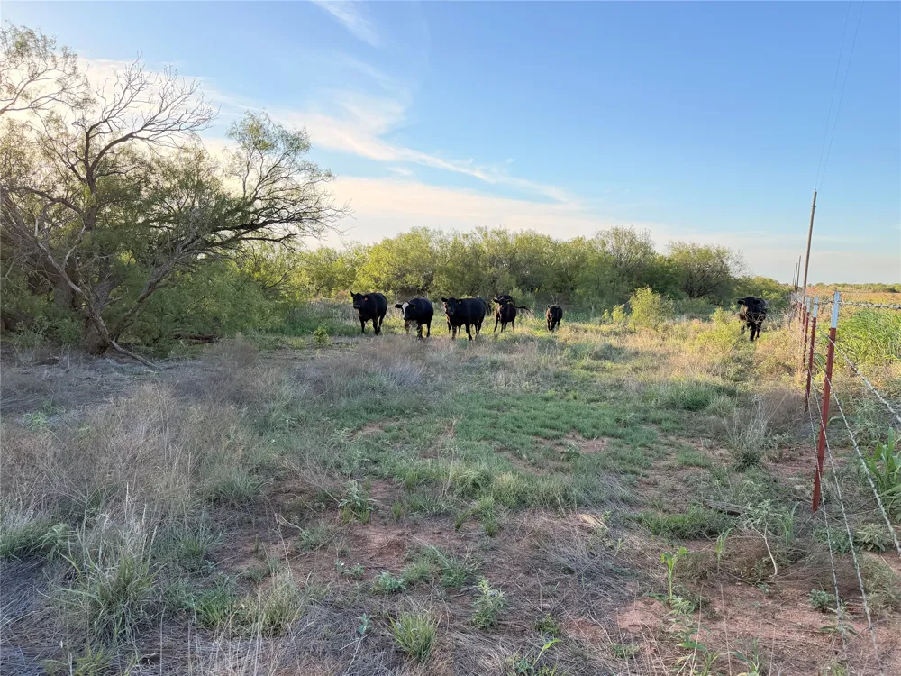 Nowell Road Quanah, TX 79252