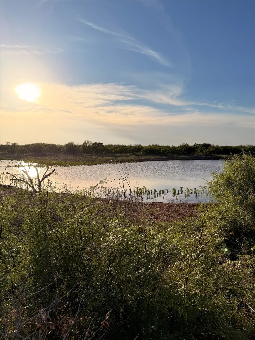 Nowell Road Quanah, TX 79252