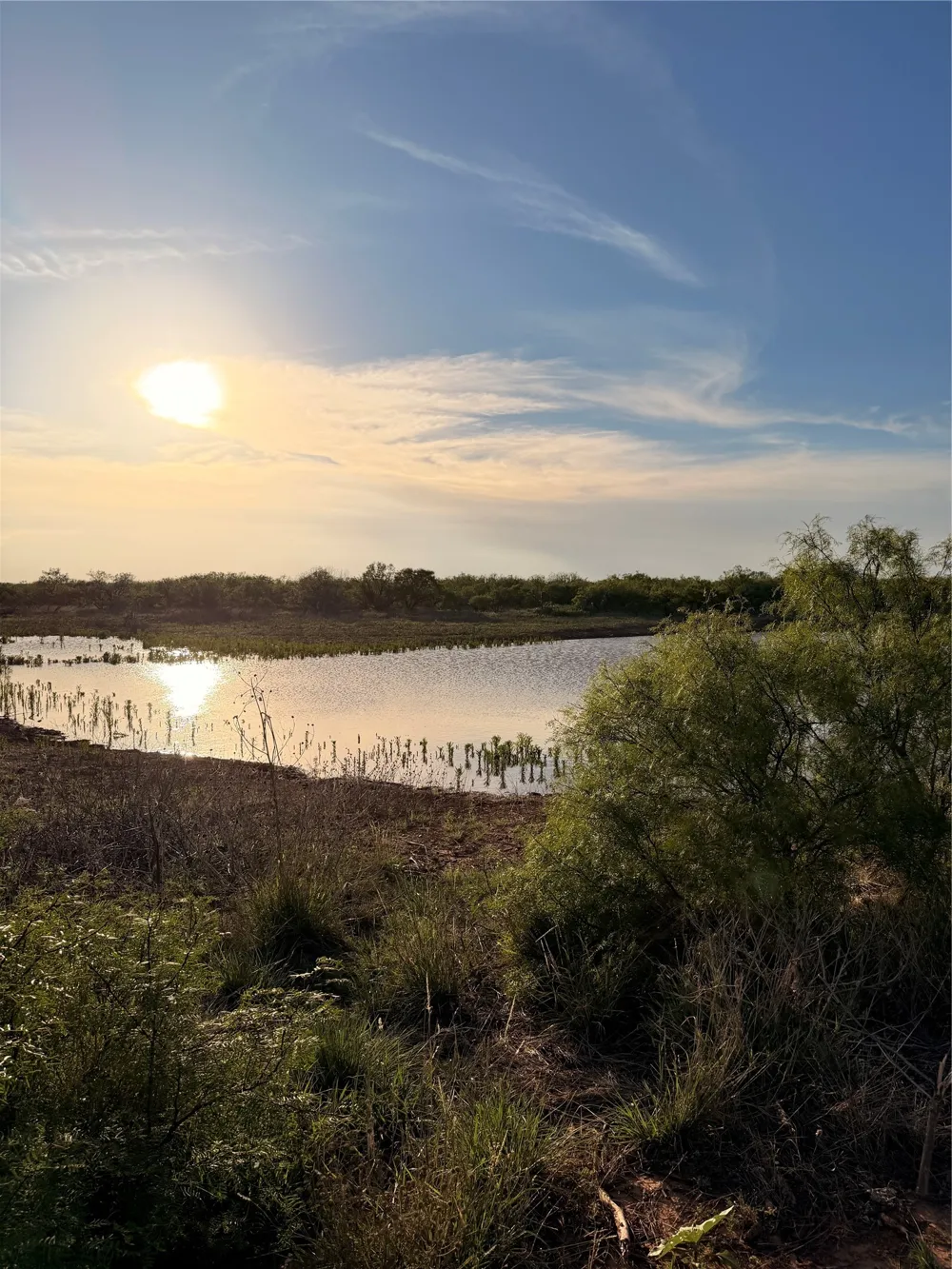 Nowell Road Quanah, TX 79252