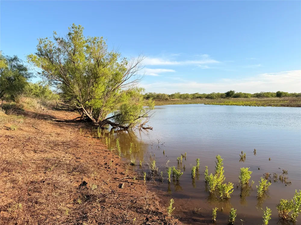Nowell Road Quanah, TX 79252