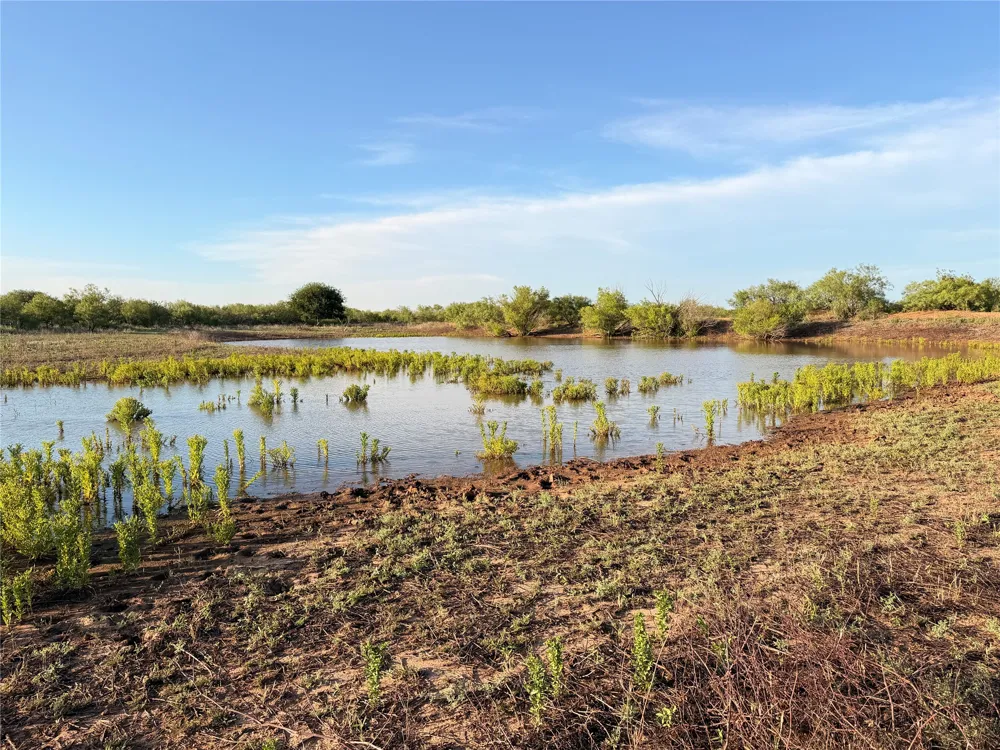 Nowell Road Quanah, TX 79252