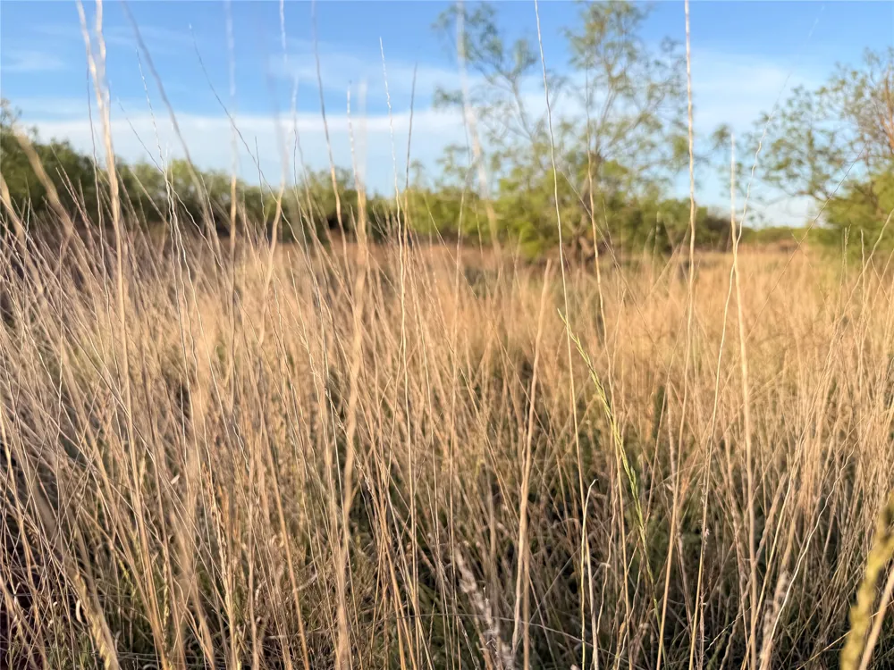 Nowell Road Quanah, TX 79252