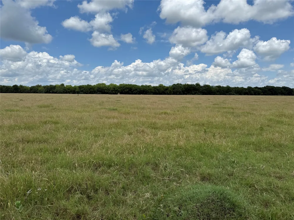 18048 Us-69 Whitewright, TX 75491