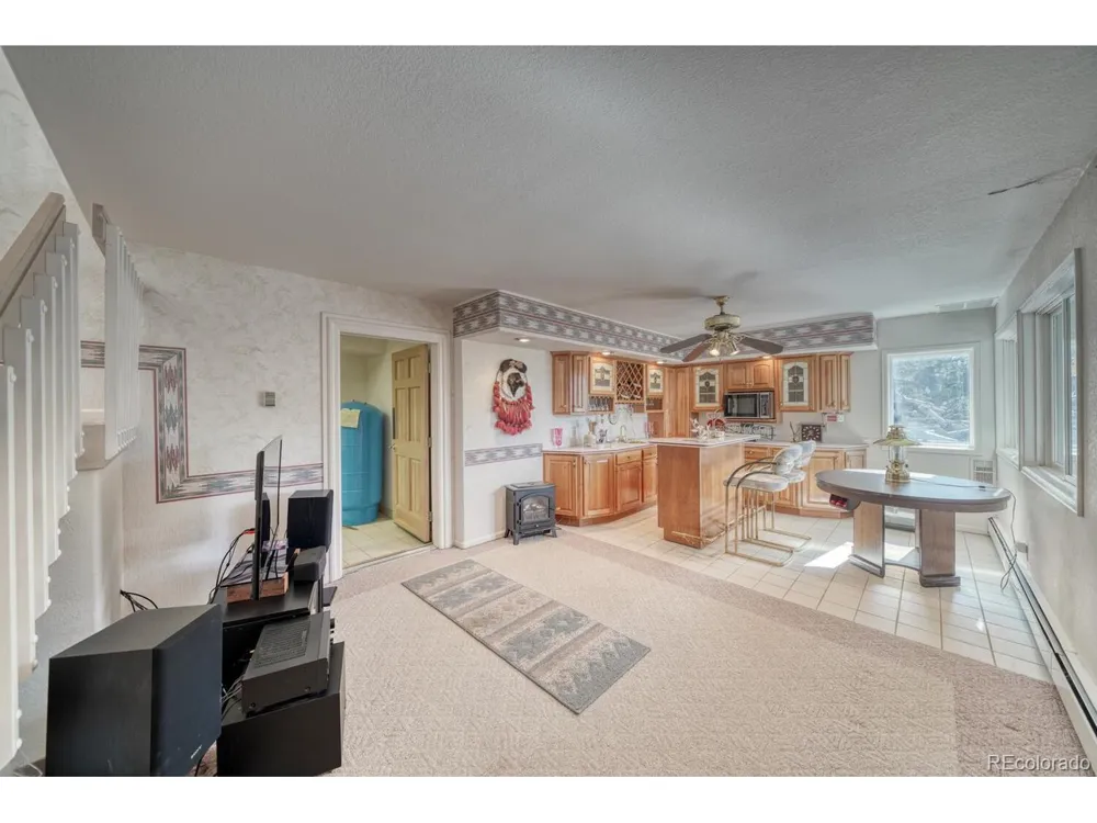 165 Reva Ridge Road Twin Lakes, CO 81251