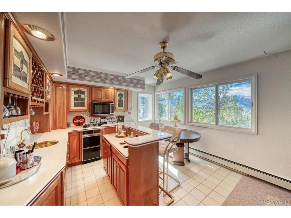 165 Reva Ridge Road Twin Lakes, CO 81251