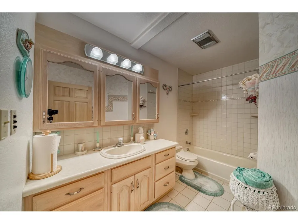 165 Reva Ridge Road Twin Lakes, CO 81251