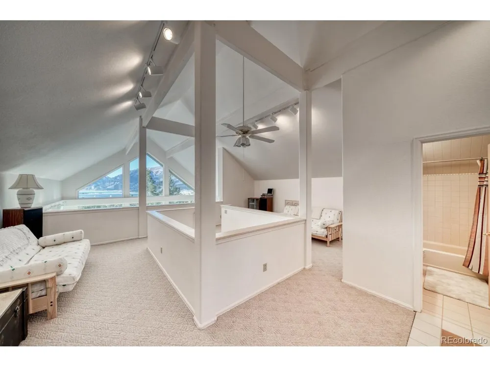 165 Reva Ridge Road Twin Lakes, CO 81251