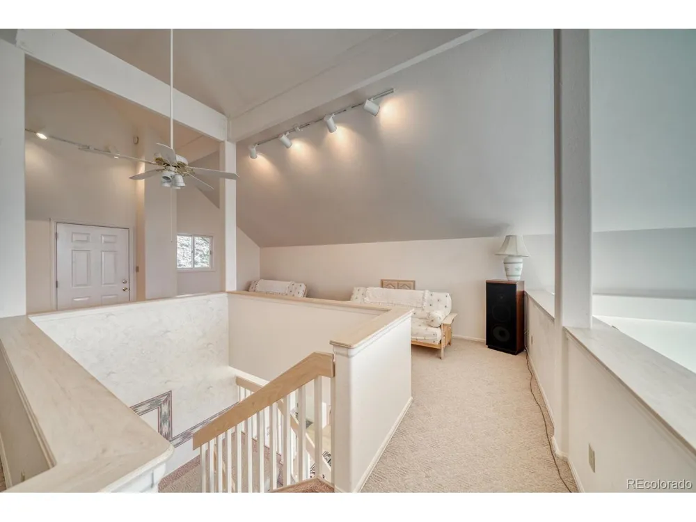 165 Reva Ridge Road Twin Lakes, CO 81251