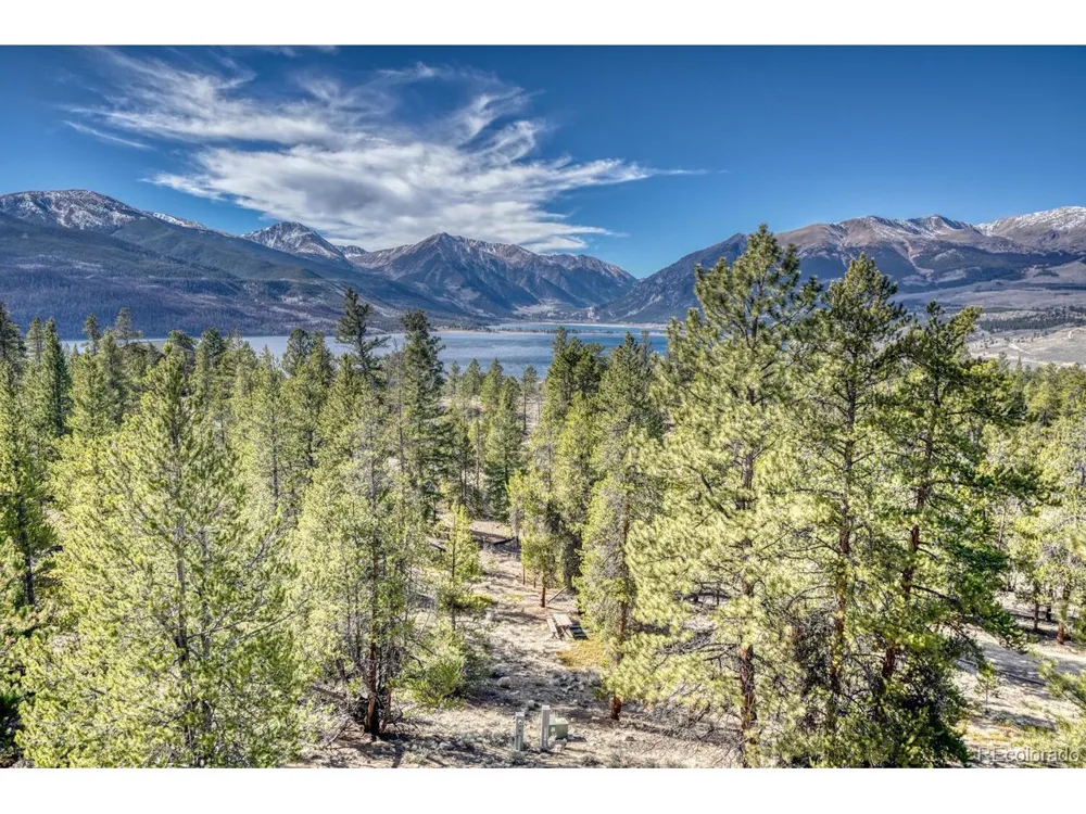 165 Reva Ridge Road Twin Lakes, CO 81251