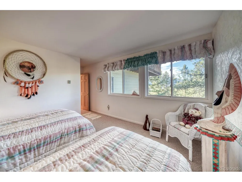 165 Reva Ridge Road Twin Lakes, CO 81251