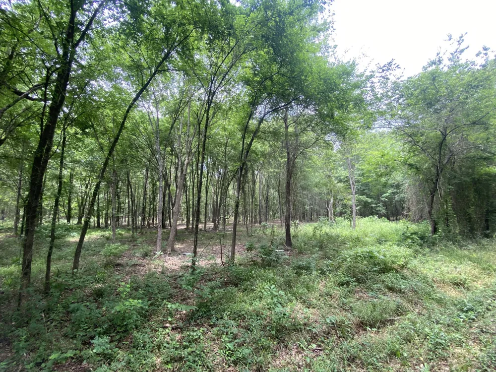 150 CR 3920 Mt Pleasant, TX 75455