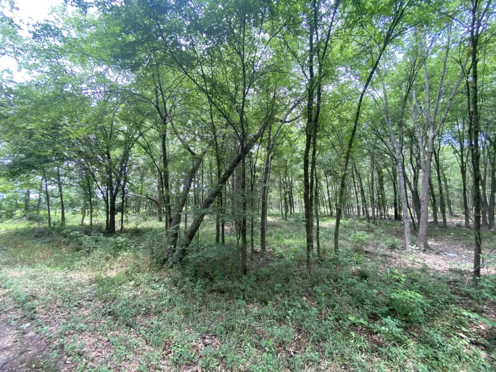 150 CR 3920 Mt Pleasant, TX 75455