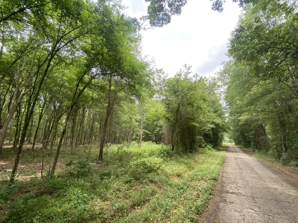 150 CR 3920 Mt Pleasant, TX 75455
