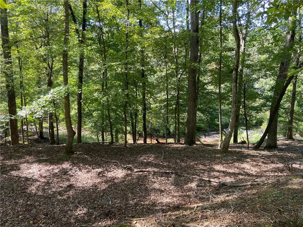 102 Forest Place Forsyth, GA 31029