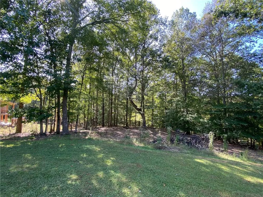 102 Forest Place Forsyth, GA 31029