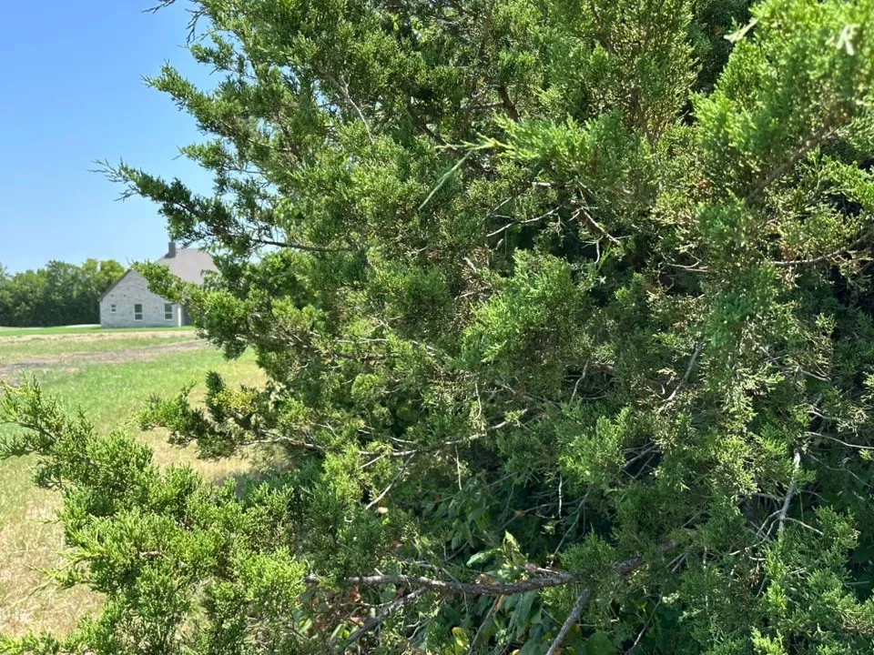 1536 County Road 4910 Leonard, TX 75452