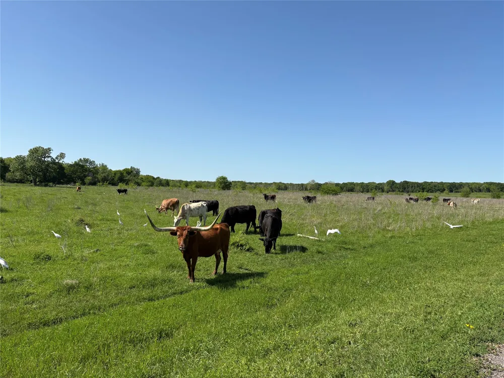 1500 Private Road 8496 Athens, TX 75832