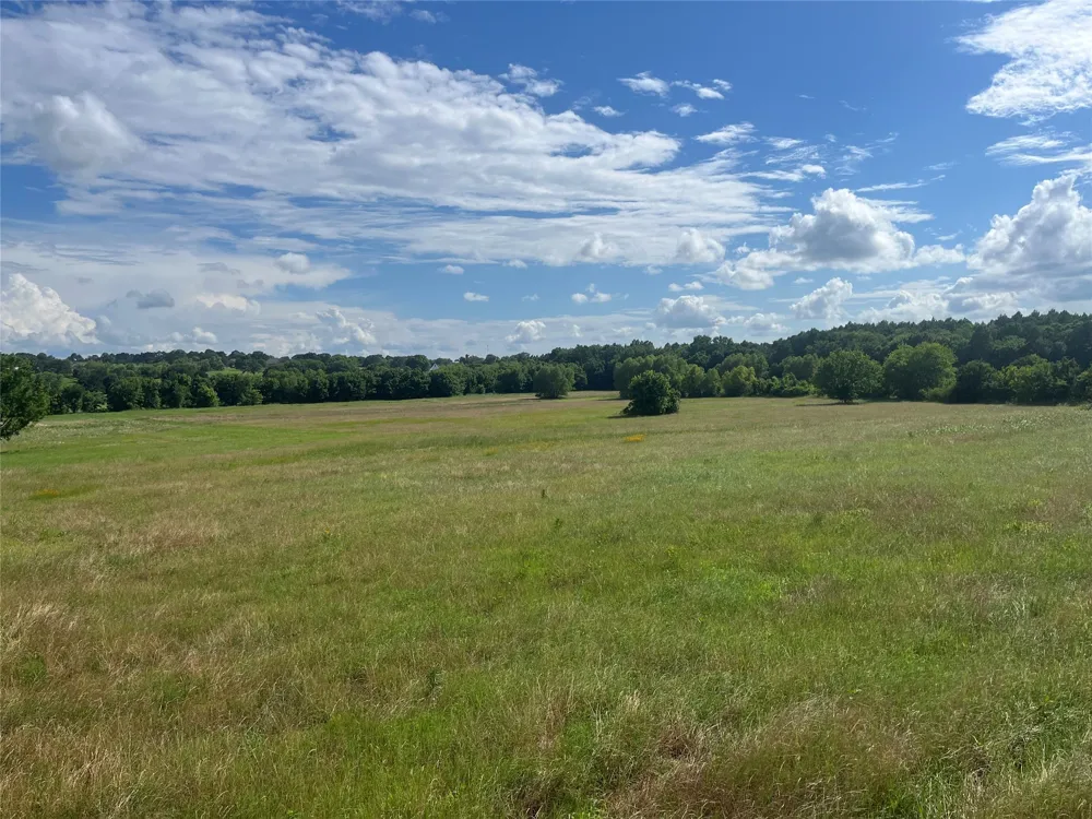 Grand View Drive Athens, TX 75752