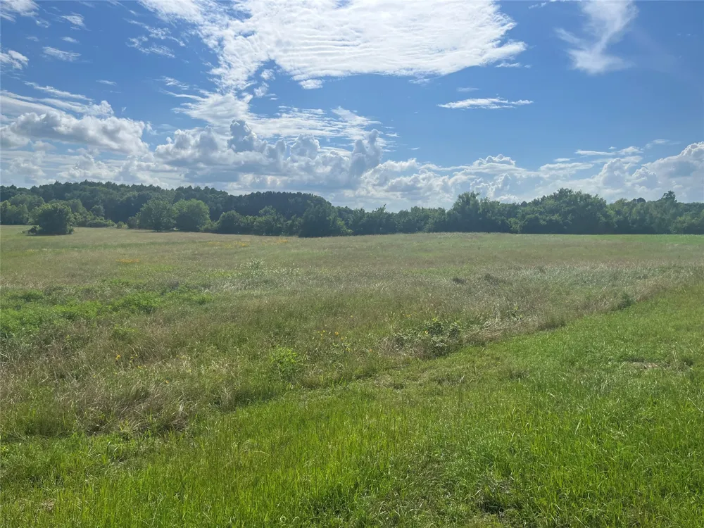 Grand View Drive Athens, TX 75752