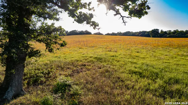 7323 Private Road 4173 Marquez, TX 77865