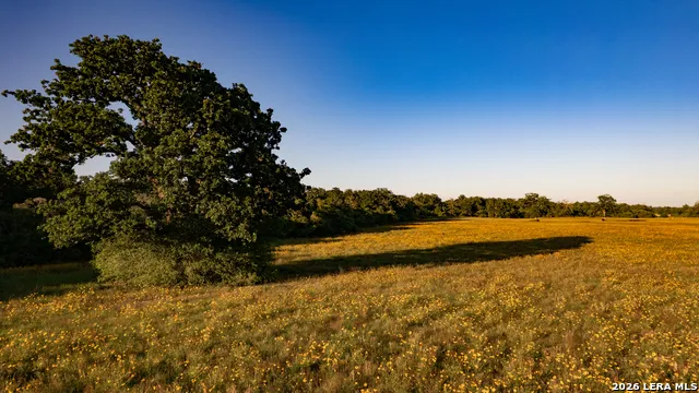 7323 Private Road 4173 Marquez, TX 77865